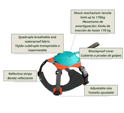 No Pull Impact Proof Harness